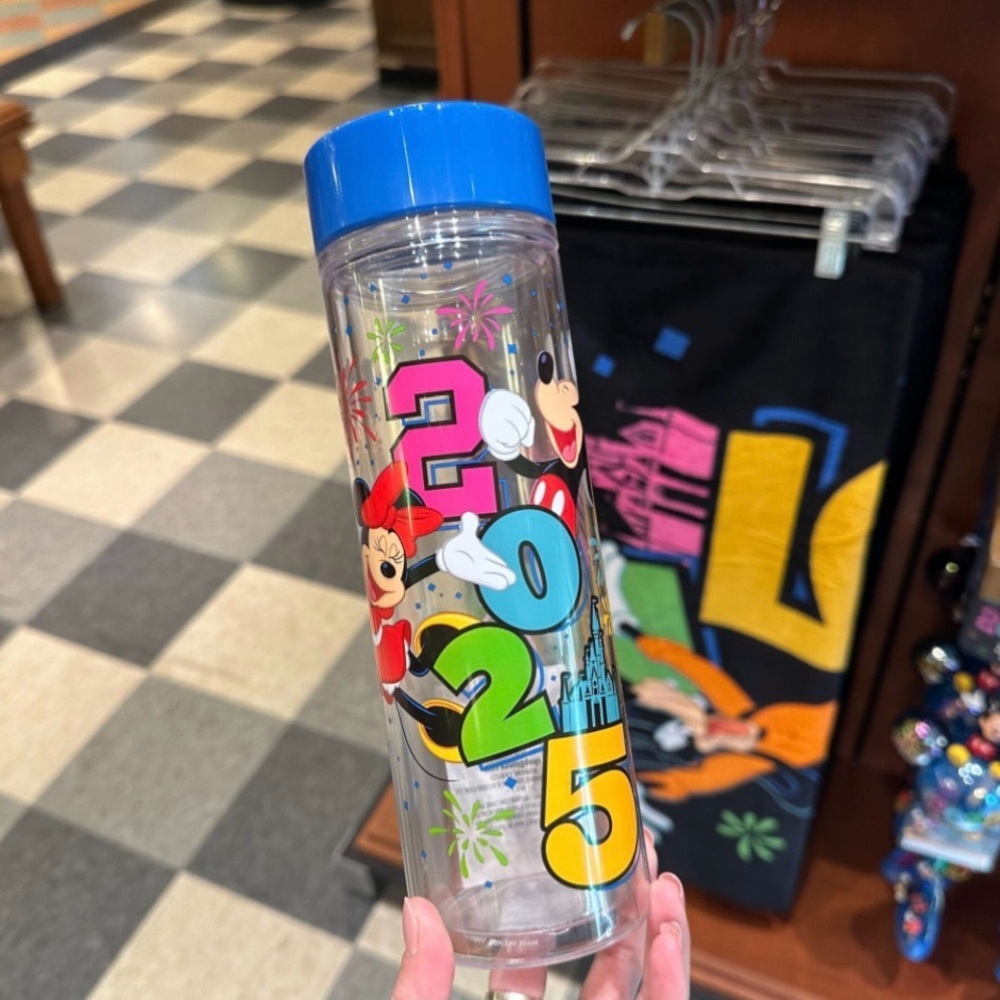 Disney Parks 2025 Mickey Mouse Water Bottle